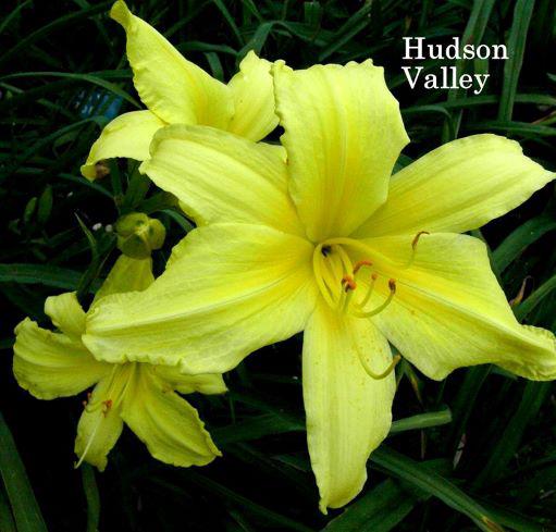 hudson val